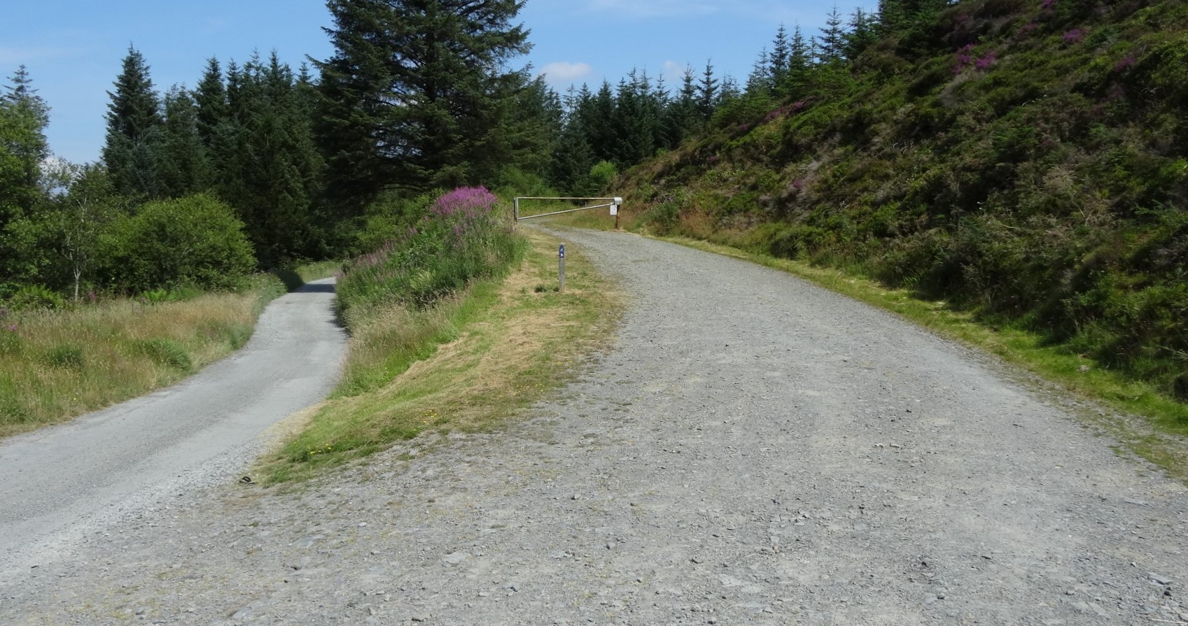RachelSeabrook.net | Wild Walking | Disgwylfa-Fawr | pic02